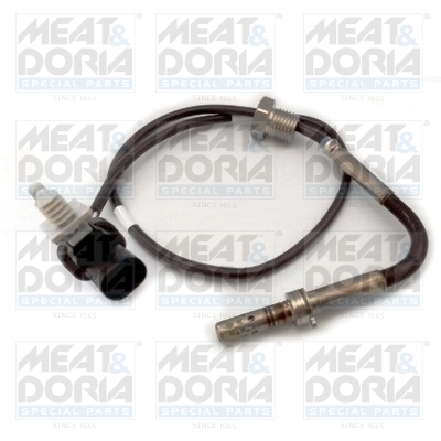 Sensor, exhaust gas temperature